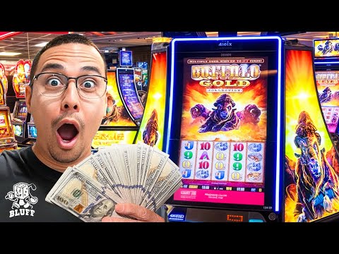 trueluck casino nederland