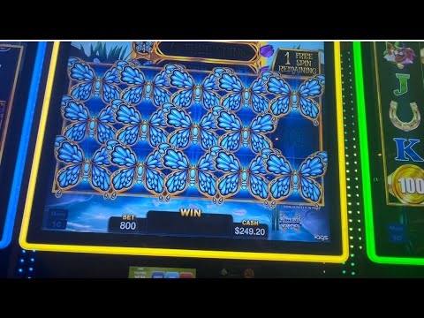 spin rise spin video tutorials