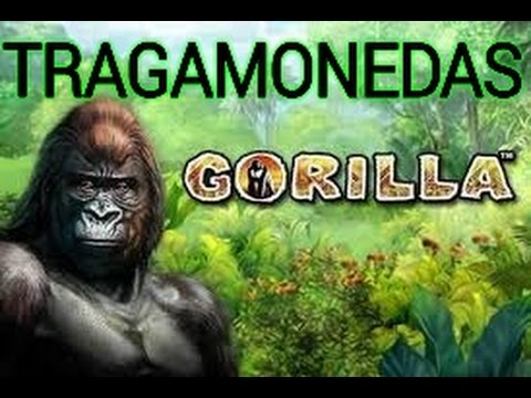 error 8 tragamonedas